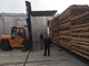 Forno de secagem rápida de madeira totalmente automático para madeira macia 30 - 150m3 Capacidade